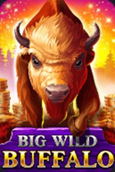 Big Wild Buffalo